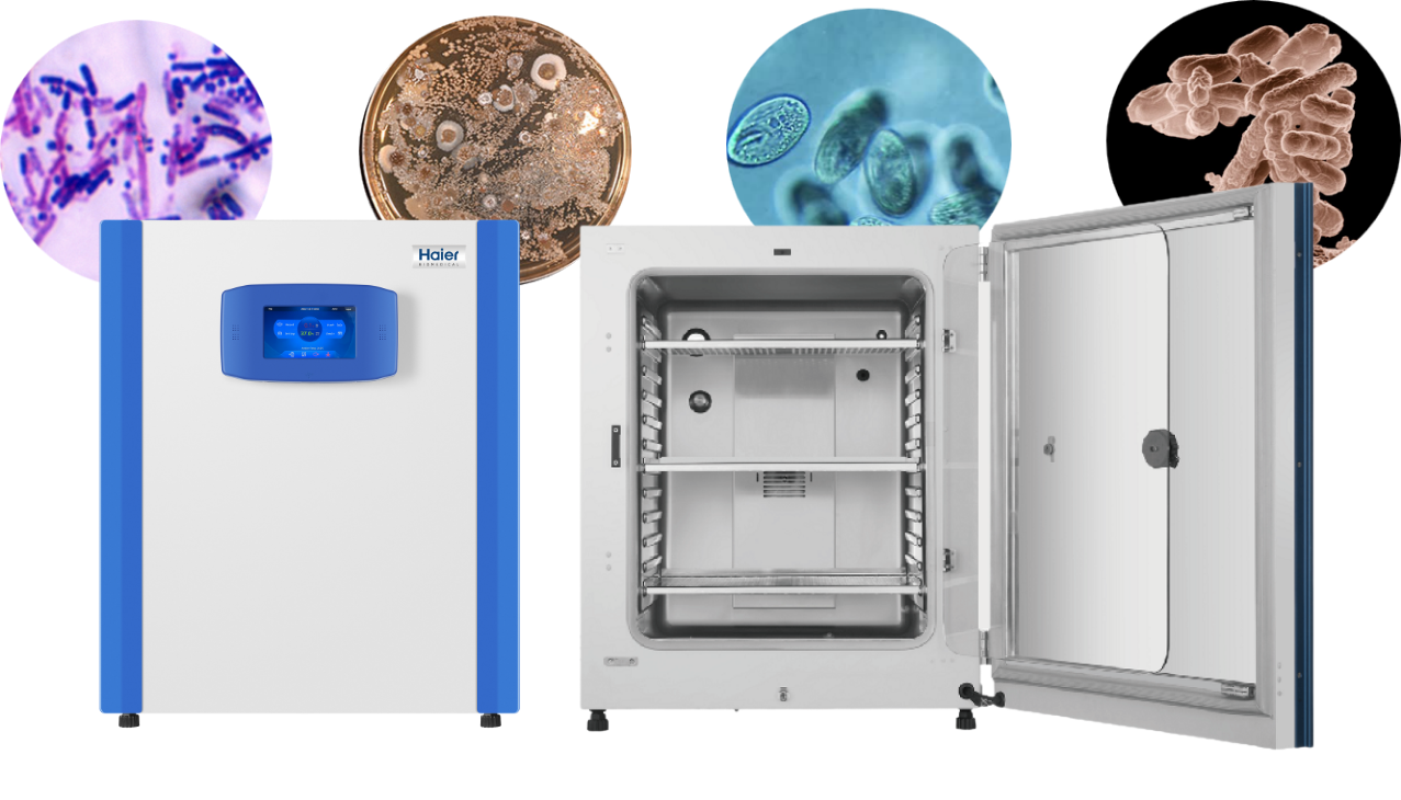 News article images - co2 incubators.png